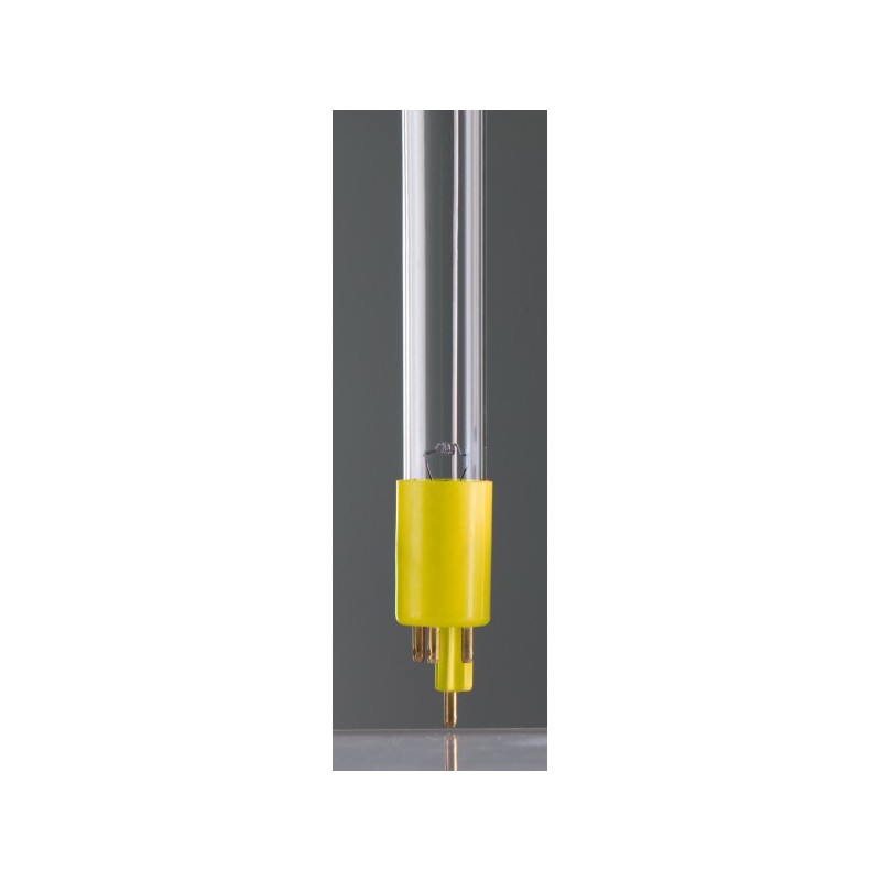 Ozone lamp Ozone lamp